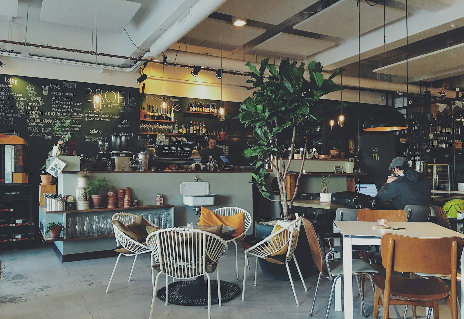 Bright cafe interior with a chalkboard menu, fiddle-leaf fig and a guest on a laptop